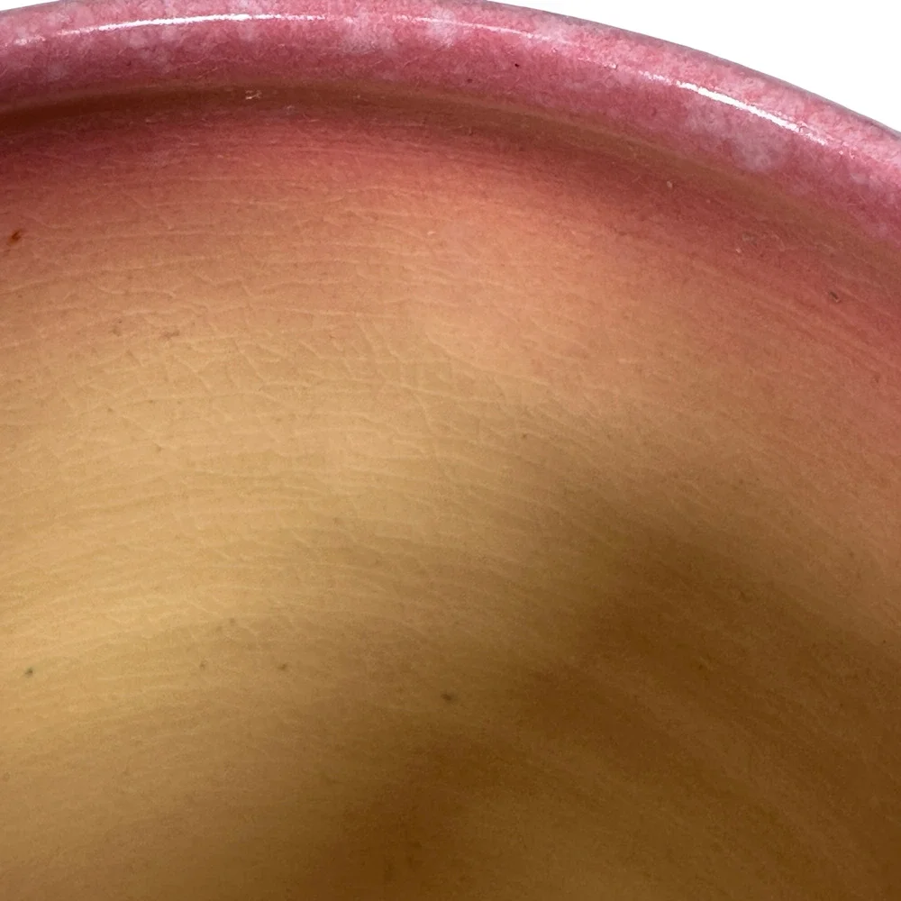 Vintage‎ Roseville Baneda Art Pottery Vase Pink Blue Floral Handles 606-7 READ